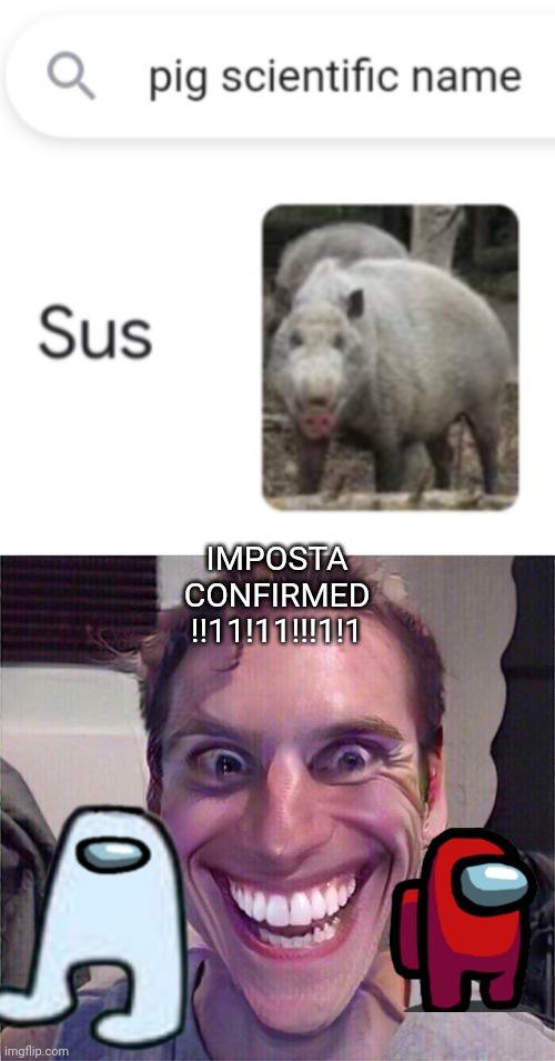 Pig Is Sus! |  IMPOSTA CONFIRMED !!11!11!!!1!1 | image tagged in among us,sus,funny,memes,funny memes | made w/ Imgflip meme maker
