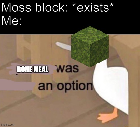 Me woth moss (minecraft) | Moss block: *exists*
Me:; BONE MEAL | image tagged in peace was never an option,minecraft,minecraft caves and cliffs,funny memes | made w/ Imgflip meme maker