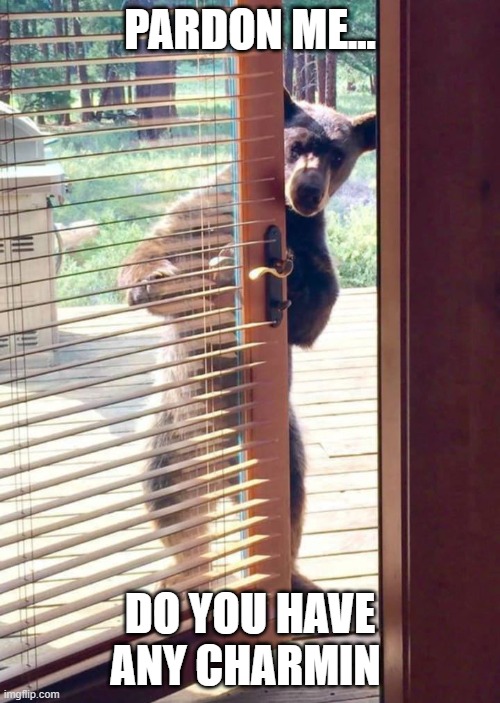 Charmin | PARDON ME... DO YOU HAVE ANY CHARMIN | image tagged in funny | made w/ Imgflip meme maker