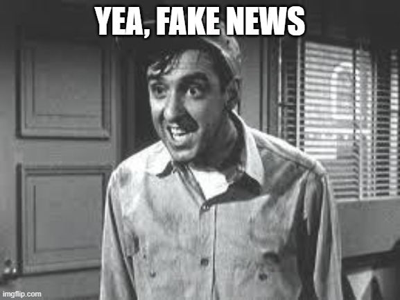 Gomer Pyle | YEA, FAKE NEWS | image tagged in gomer pyle | made w/ Imgflip meme maker