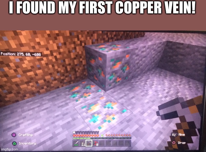 I got 21 raw copper | I FOUND MY FIRST COPPER VEIN! | made w/ Imgflip meme maker