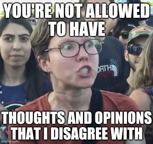 Very admirable people, I'm sure... | YOU'RE NOT ALLOWED
TO HAVE THOUGHTS AND OPINIONS
THAT I DISAGREE WITH | image tagged in triggered feminist,feminist,feminism,cultist,hypocrite,delusional | made w/ Imgflip meme maker