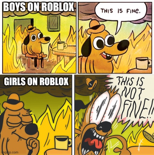 BOYS ON ROBLOX; GIRLS ON ROBLOX | image tagged in memes,this is fine,this is not fine | made w/ Imgflip meme maker