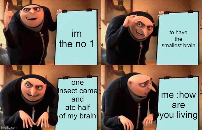 brain insect | im the no 1; to have the smallest brain; one insect came and ate half of my brain; me :how are you living | image tagged in memes,gru's plan | made w/ Imgflip meme maker