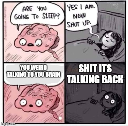 Are you going to sleep? | SHIT ITS TALKING BACK; YOU WEIRD TALKING TO YOU BRAIN | image tagged in are you going to sleep | made w/ Imgflip meme maker
