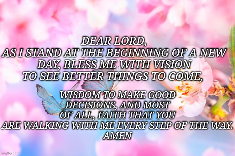 Prayer | WISDOM TO MAKE GOOD DECISIONS, AND MOST OF ALL, FAITH THAT YOU ARE WALKING WITH ME EVERY STEP OF THE WAY.
AMEN; DEAR LORD,
AS I STAND AT THE BEGINNING OF A NEW DAY, BLESS ME WITH VISION TO SEE BETTER THINGS TO COME, | image tagged in butterfly | made w/ Imgflip meme maker
