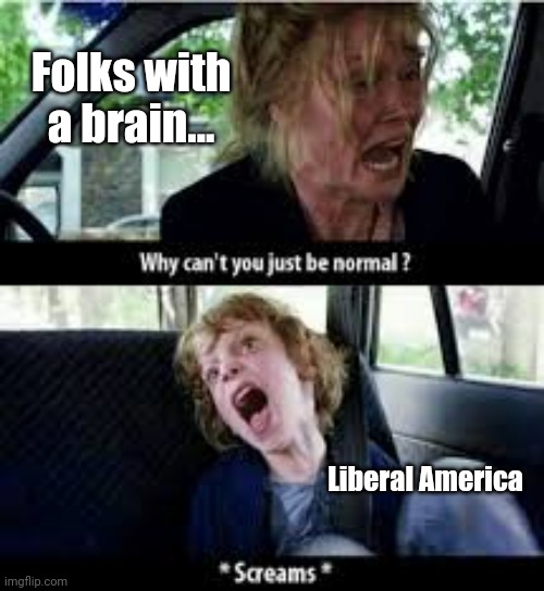 What it's like here in the US of A. | Folks with a brain... Liberal America | image tagged in why cant you just be normal | made w/ Imgflip meme maker