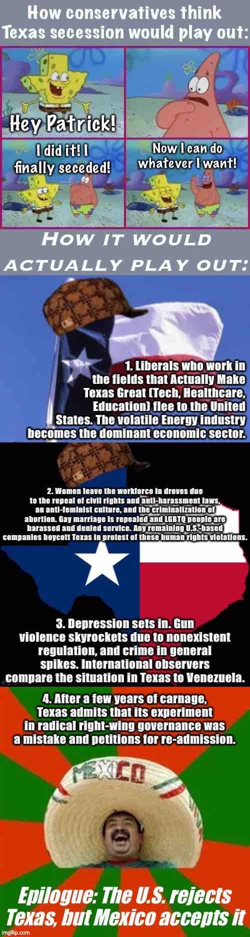 Longer one, but y’all can read | image tagged in texas secession | made w/ Imgflip meme maker