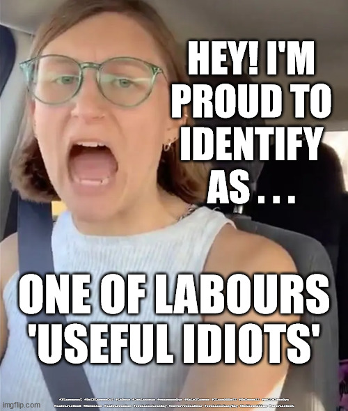 Labour - Useful Idiot | HEY! I'M 
PROUD TO 
IDENTIFY 
AS . . . ONE OF LABOURS 'USEFUL IDIOTS'; #Starmerout #GetStarmerOut #Labour #JonLansman #wearecorbyn #KeirStarmer #DianeAbbott #McDonnell #cultofcorbyn #labourisdead #Momentum #labourracism #socialistsunday #nevervotelabour #socialistanyday #Antisemitism #usefulidiot | image tagged in labourisdead,starmer labour leadership,starmerout getstarmerout,labour loony left,labour useful idiot | made w/ Imgflip meme maker