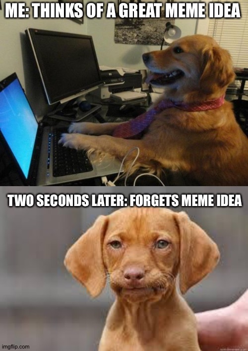 When you forget a meme idea | ME: THINKS OF A GREAT MEME IDEA; TWO SECONDS LATER: FORGETS MEME IDEA | image tagged in dog behind a computer,disappointed dog | made w/ Imgflip meme maker