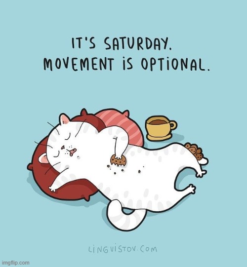 A Cat's Way Of Thinking | image tagged in memes,comics,cats,thinking,saturday,movement | made w/ Imgflip meme maker