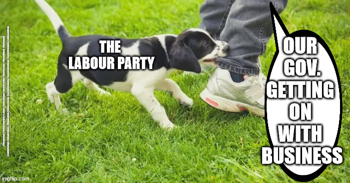 Labour - small dog | OUR 
GOV.
GETTING 
ON 
WITH 
BUSINESS; THE 
LABOUR PARTY; #Starmerout #GetStarmerOut #Labour #JonLansman #wearecorbyn #KeirStarmer #DianeAbbott #McDonnell #cultofcorbyn #labourisdead #Momentum #labourracism #socialistsunday #nevervotelabour #socialistanyday #Antisemitism | image tagged in labourisdead,starmerout getstarmerout,labour looney left,labour losers | made w/ Imgflip meme maker