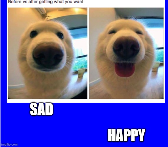 sad happy | SAD; HAPPY | image tagged in happy | made w/ Imgflip meme maker