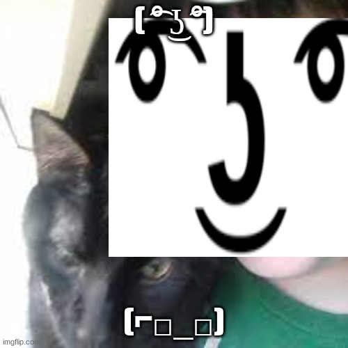  ( ͡° ͜ʖ ͡°); (⌐□_□) | image tagged in tiler and his cat on youtube | made w/ Imgflip meme maker