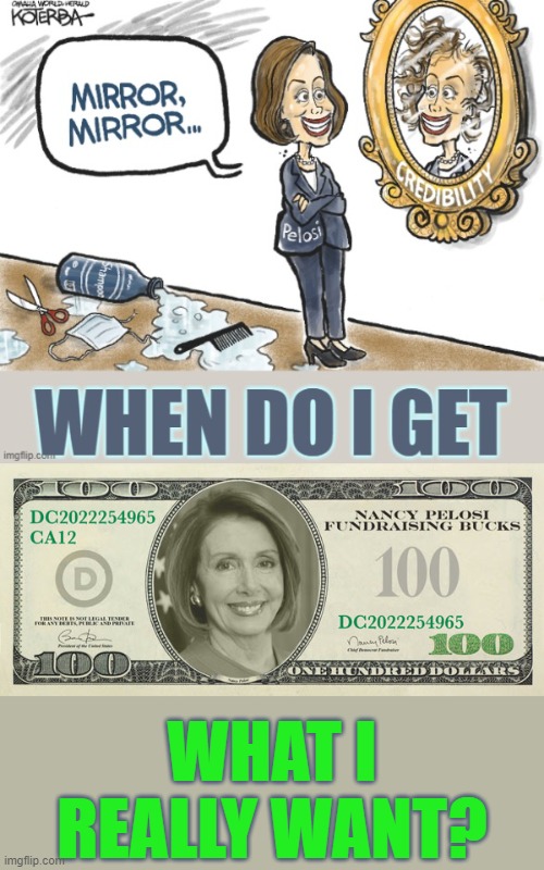 Speak To Me...Please!... | WHAT I REALLY WANT? | image tagged in memes,politics,comics,mirror mirror,nancy pelosi,dollars | made w/ Imgflip meme maker