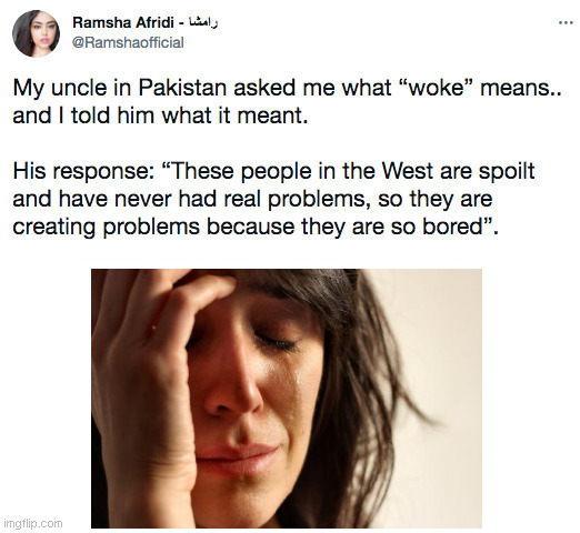 Thoughts? | image tagged in wokeness,first world problems | made w/ Imgflip meme maker