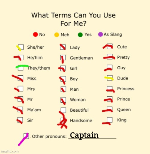 Something worth knowing. | Captain | image tagged in pronouns sheet | made w/ Imgflip meme maker