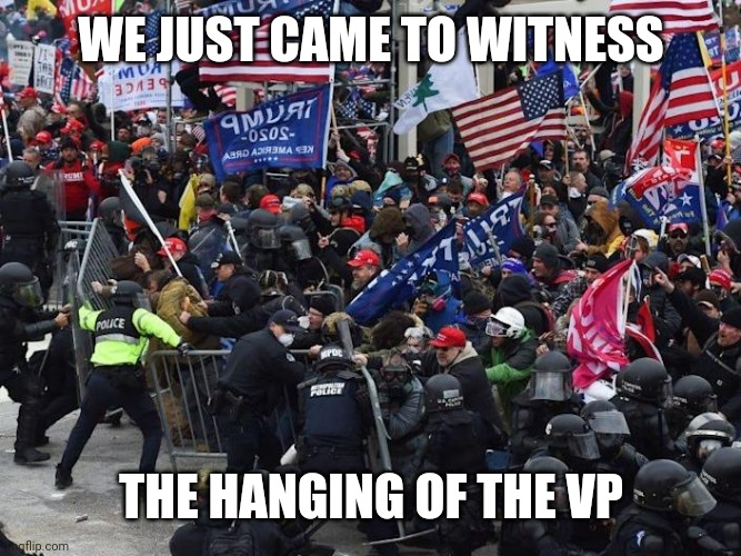 Cop-killer MAGA right wing Capitol Riot January 6th | WE JUST CAME TO WITNESS; THE HANGING OF THE VP | image tagged in cop-killer maga right wing capitol riot january 6th | made w/ Imgflip meme maker