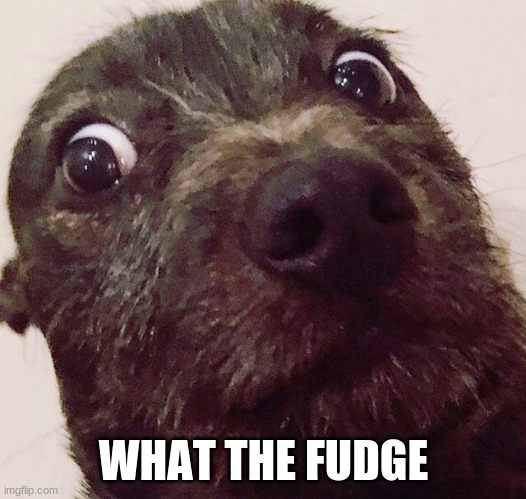 What the fudge dogg | WHAT THE FUDGE | image tagged in what the fudge dogg | made w/ Imgflip meme maker