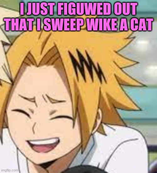 I'm a kittyyyyyyyy | I JUST FIGUWED OUT THAT I SWEEP WIKE A CAT | image tagged in waughing denki,meow | made w/ Imgflip meme maker