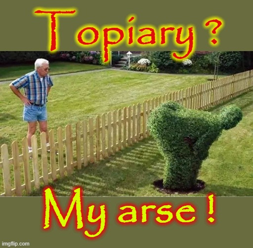 Topiary my arse ! | Topiary ? My arse ! | image tagged in wrong neighboorhood cats | made w/ Imgflip meme maker