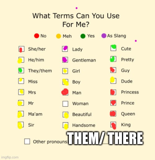 Pronouns Sheet | THEM/ THERE | image tagged in pronouns sheet | made w/ Imgflip meme maker
