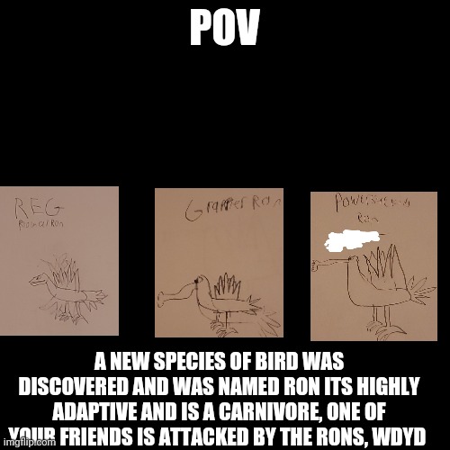 Blank Transparent Square | POV; A NEW SPECIES OF BIRD WAS DISCOVERED AND WAS NAMED RON ITS HIGHLY ADAPTIVE AND IS A CARNIVORE, ONE OF YOUR FRIENDS IS ATTACKED BY THE RONS, WDYD | image tagged in memes,blank transparent square | made w/ Imgflip meme maker