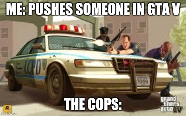 i mean its true tho | ME: PUSHES SOMEONE IN GTA V; THE COPS: | image tagged in gta cops logic | made w/ Imgflip meme maker