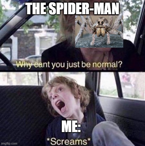 Why Can't You Just Be Normal | THE SPIDER-MAN ME: | image tagged in why can't you just be normal | made w/ Imgflip meme maker