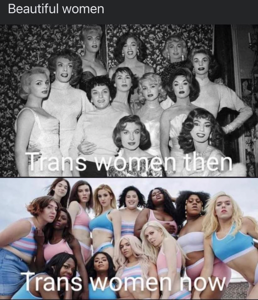 High Quality Trans women then and now Blank Meme Template