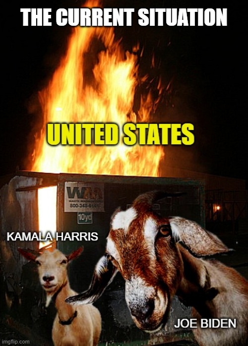 How Well Is The Biden Administration Handling Things? | THE CURRENT SITUATION | image tagged in joe biden,kamala harris,goats,dumpster fire,democrats,liberals | made w/ Imgflip meme maker