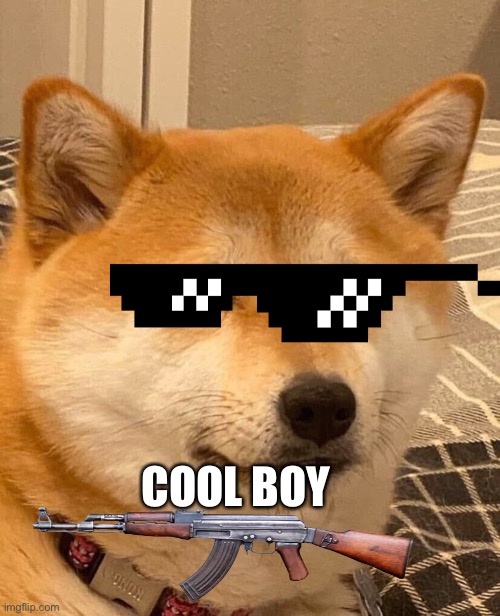 The | COOL BOY | image tagged in the | made w/ Imgflip meme maker