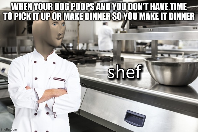 Meme Man Shef | WHEN YOUR DOG POOPS AND YOU DON'T HAVE TIME TO PICK IT UP OR MAKE DINNER SO YOU MAKE IT DINNER | image tagged in meme man shef | made w/ Imgflip meme maker