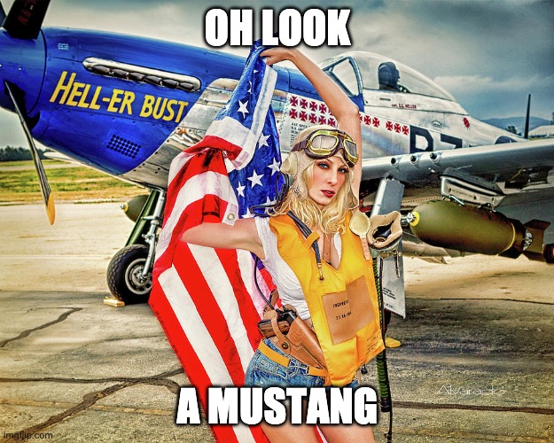 Military Art  P-51D | OH LOOK A MUSTANG | image tagged in military art p-51d | made w/ Imgflip meme maker