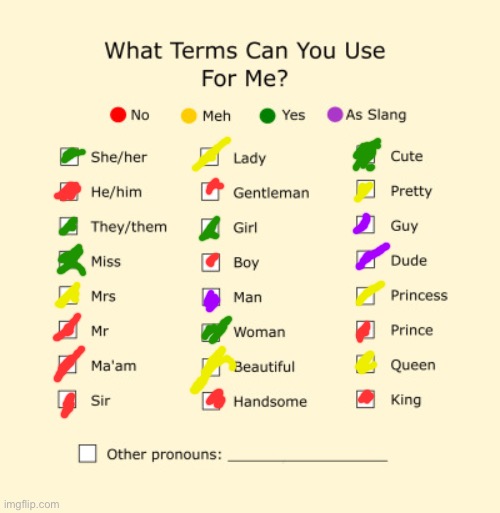 Pronouns Sheet | image tagged in pronouns sheet | made w/ Imgflip meme maker