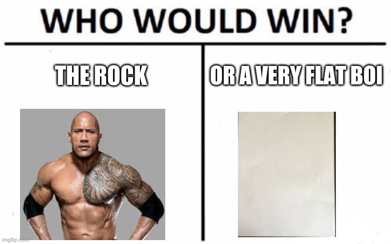 Who Would Win? | THE ROCK; OR A VERY FLAT BOI | image tagged in memes,who would win | made w/ Imgflip meme maker