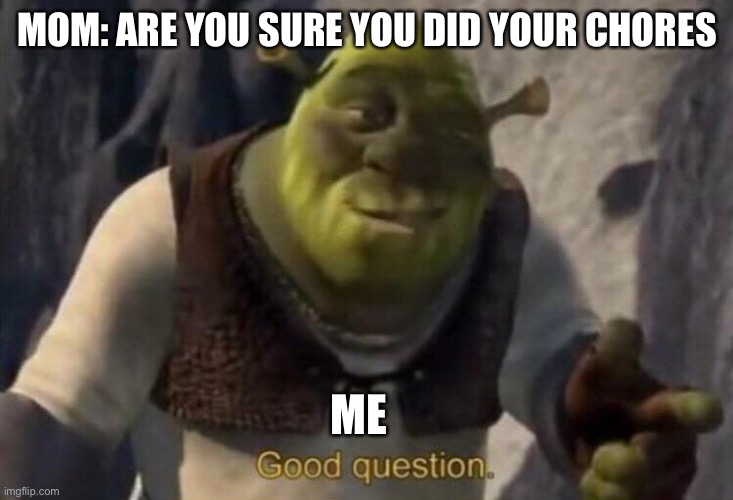 Shrek Good Question Meme Template | MOM: ARE YOU SURE YOU DID YOUR CHORES; ME | image tagged in shrek good question meme template | made w/ Imgflip meme maker