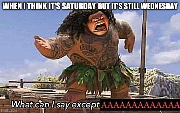 What can I say except AAAAAAAAAAAAAAAAAAAAAAAAAAAAAAAAA | BUT IT'S STILL WEDNESDAY; WHEN I THINK IT'S SATURDAY | image tagged in what can i say except aaaaaaaaaaaaaaaaaaaaaaaaaaaaaaaaa | made w/ Imgflip meme maker