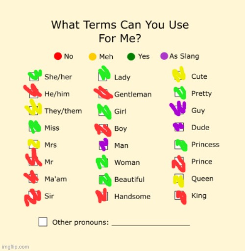 My Pronouns | image tagged in pronouns sheet | made w/ Imgflip meme maker