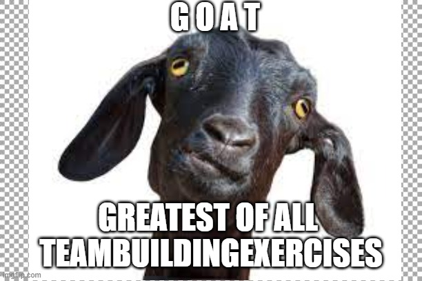 GOAT | G O A T; GREATEST OF ALL 
TEAMBUILDINGEXERCISES | image tagged in memes | made w/ Imgflip meme maker