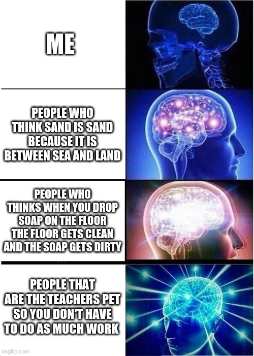 The smarty pants | ME; PEOPLE WHO THINK SAND IS SAND BECAUSE IT IS BETWEEN SEA AND LAND; PEOPLE WHO THINKS WHEN YOU DROP SOAP ON THE FLOOR THE FLOOR GETS CLEAN AND THE SOAP GETS DIRTY; PEOPLE THAT ARE THE TEACHERS PET SO YOU DON'T HAVE TO DO AS MUCH WORK | image tagged in memes,expanding brain | made w/ Imgflip meme maker