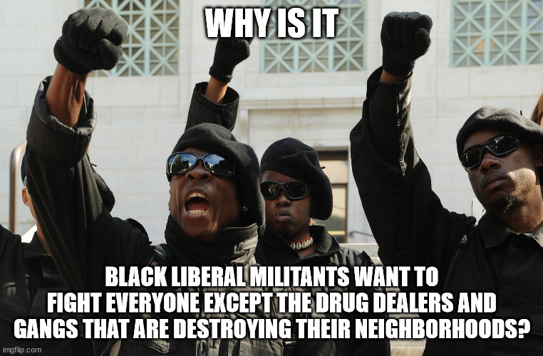 Why Is That? | WHY IS IT; BLACK LIBERAL MILITANTS WANT TO FIGHT EVERYONE EXCEPT THE DRUG DEALERS AND GANGS THAT ARE DESTROYING THEIR NEIGHBORHOODS? | image tagged in blm,liberal logic | made w/ Imgflip meme maker
