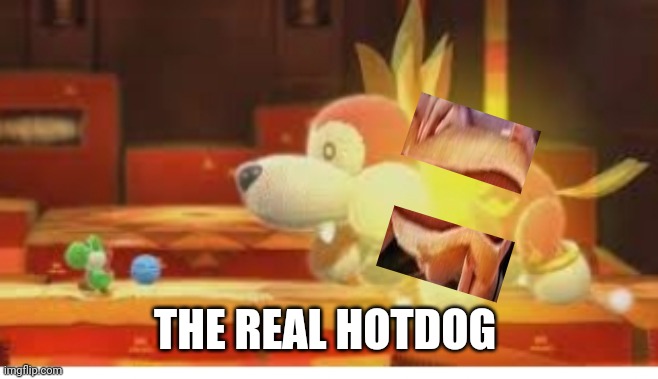 THE REAL HOTDOG | made w/ Imgflip meme maker