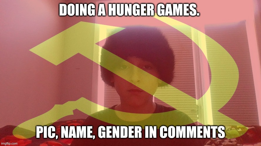 Communist dicewarrior | DOING A HUNGER GAMES. PIC, NAME, GENDER IN COMMENTS | image tagged in communist dicewarrior | made w/ Imgflip meme maker