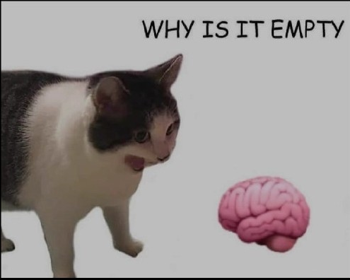 why is it empty? Blank Meme Template