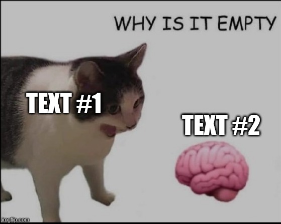 the brain could be something else | TEXT #2; TEXT #1 | image tagged in why is it empty | made w/ Imgflip meme maker