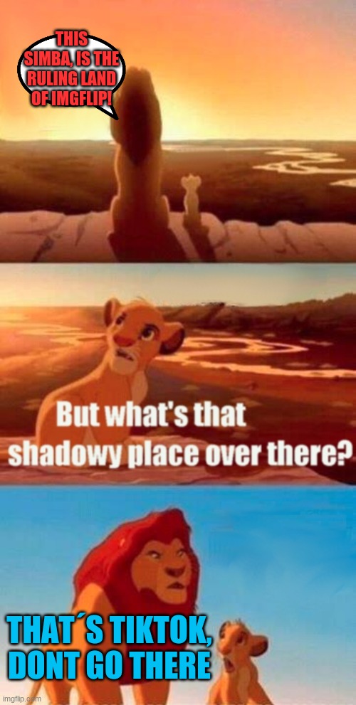 Dont go there | THIS SIMBA, IS THE RULING LAND OF IMGFLIP! THAT´S TIKTOK, DONT GO THERE | image tagged in memes,simba shadowy place,dont go there,tiktok,imgflip is better | made w/ Imgflip meme maker