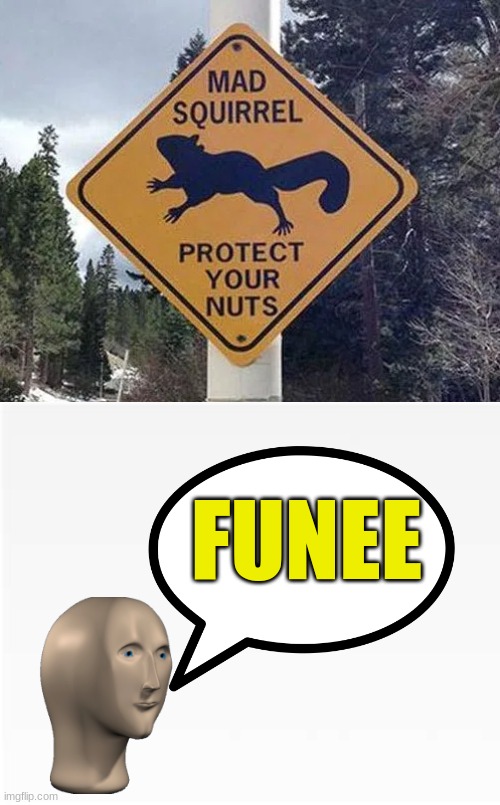 Funee | FUNEE | image tagged in meme man,meme,memes,signs,funee,funny | made w/ Imgflip meme maker
