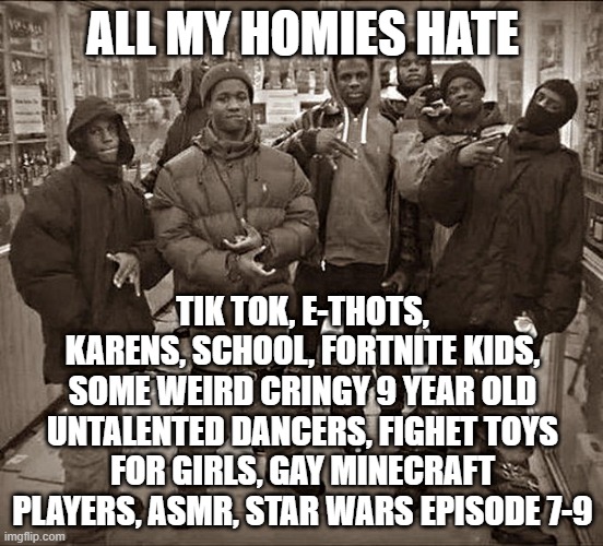All My Homies Hate | ALL MY HOMIES HATE; TIK TOK, E-THOTS, KARENS, SCHOOL, FORTNITE KIDS, SOME WEIRD CRINGY 9 YEAR OLD UNTALENTED DANCERS, FIGHET TOYS FOR GIRLS, GAY MINECRAFT PLAYERS, ASMR, STAR WARS EPISODE 7-9 | image tagged in all my homies hate | made w/ Imgflip meme maker