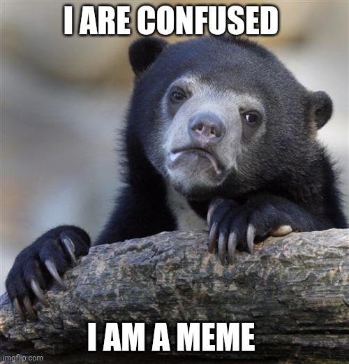 Confession Bear Meme | I ARE CONFUSED; I AM A MEME | image tagged in memes,confession bear | made w/ Imgflip meme maker